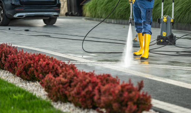 Best Solar Panel Cleaning  in Hico, TX